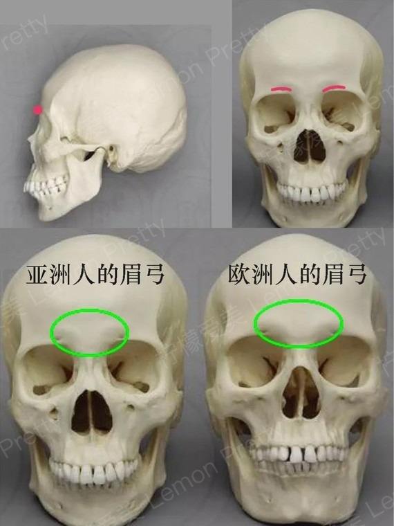 问题咨询 这个角度的结构美感占大面积的其实主要是额头,眉弓与额头